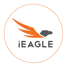 Find Cheap Flights, Airline Tickets & Flight Deals | iEagle logo